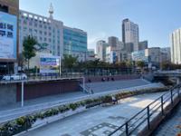 성북구청 앞 성북천