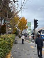 안암병원 버스정류장(2)