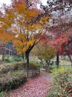 화랑어린이공원 의자