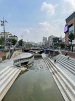 성북천 성북구청 구간 전경