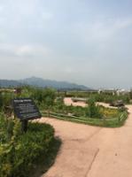 낙산공원(4)