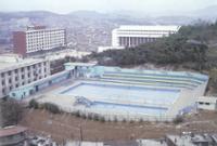 1982년 낙산수영장