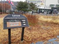 성북 우정의 공원 빗물정원